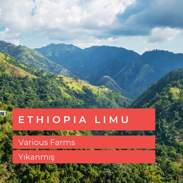 Ethiopia Limu Grade 2 - Çiğ Yeşil Kahve Çekirdek 1kg