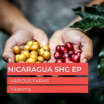 Nicaragua SHG EP San Jose Estate Çiğ Yeşil Çekirdek 1kg